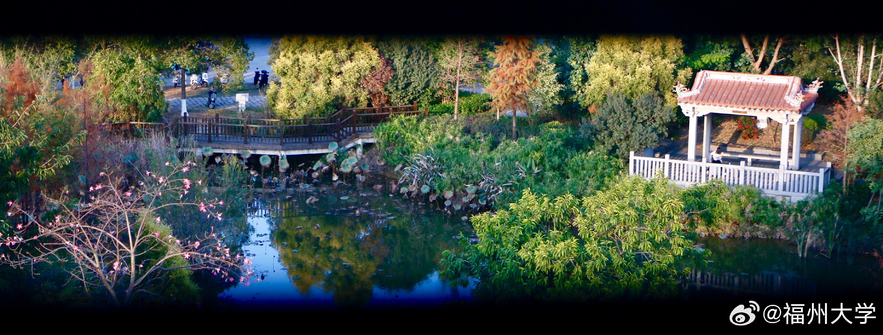 新利体育luck18·(中国)首页登录