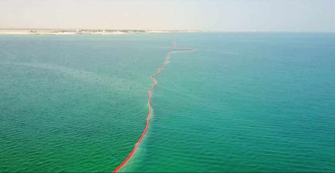 Z6·尊龙「中国区」官方网站