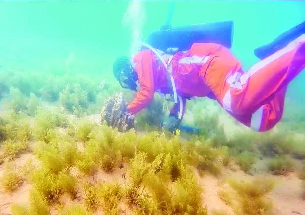 Z6·尊龙「中国区」官方网站