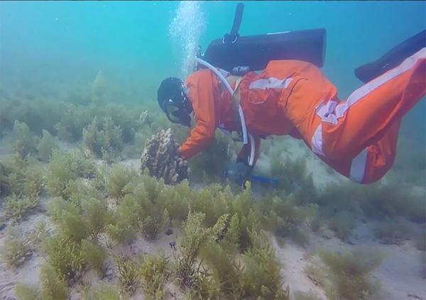 Z6·尊龙「中国区」官方网站