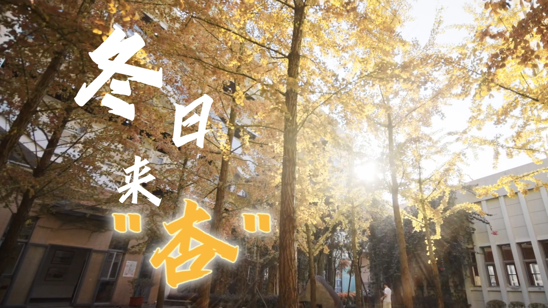 新利体育luck18·(中国)首页登录